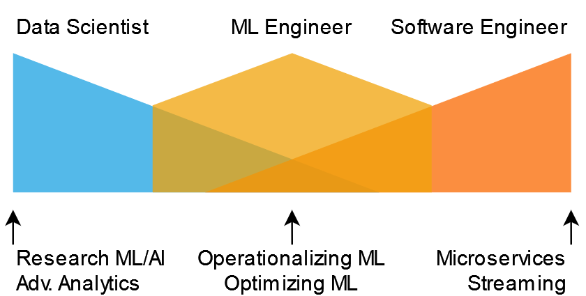 Traditional Enterprise Role Organization